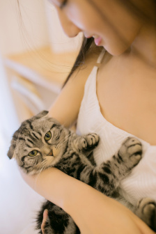 猪八戒吃西瓜