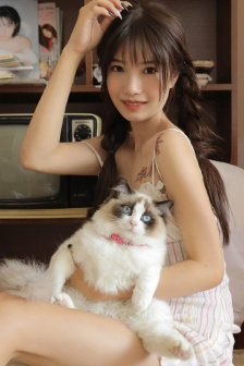 澳门风云粤语